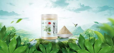 三七的功效與適用人群及與茶葉的搭配