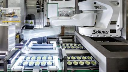 科技賦能傳統(tǒng)，匠心融合智造——央視網(wǎng)深度解碼小罐茶黃山智能工廠